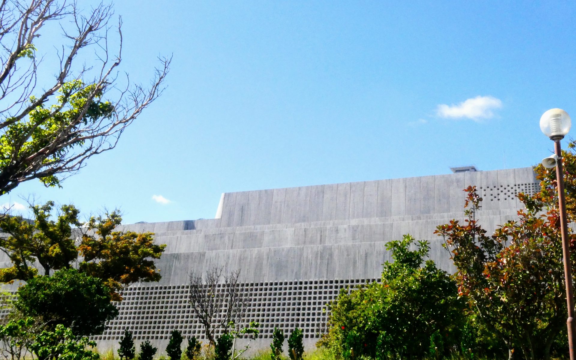 沖縄県立博物館（おきみゅー）｜Y's合同会社